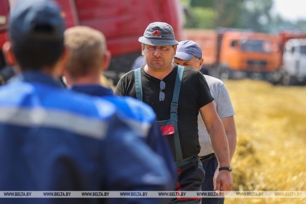 «Стараемся на деле проявлять заботу о людях», или Как в Кобринском районе начали жатву