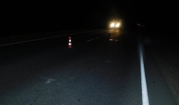 Возвращались со свадьбы и переехали лежавшего на дороге парня. Дело возбуждено в отношении водителя