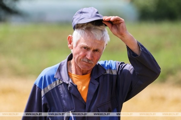 «Стараемся на деле проявлять заботу о людях», или Как в Кобринском районе начали жатву