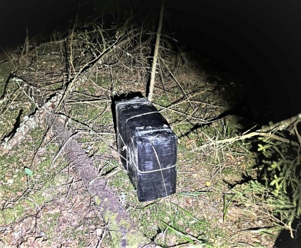 Литовцы сбили дрон, а сморгонские пограничники задержали тех, кто его запускал