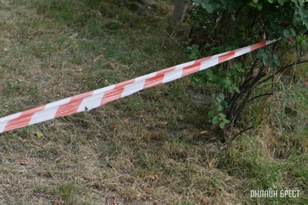 В Бресте горел сарай, а на озере в Столинском районе утонул пенсионер