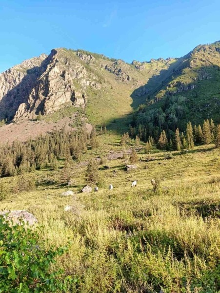 Брестчане покоряют горные реки Алтая