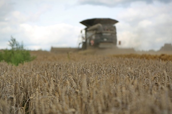 Водитель самого крутого комбайна в Беларуси: «За 1 000 рублей в поле точно бы не работал!»