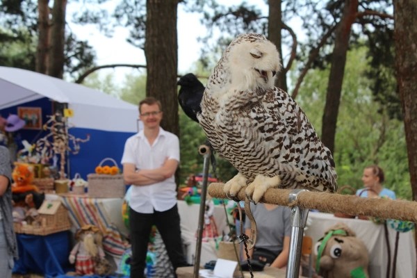 Дискотека, лазерное шоу, красочный фейерверк. Смотрите, как в Пинском районе прошел гастрономический и экологический фестиваль «Полесский вьюн»