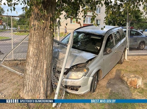 В Бресте пьяный водитель снес забор и врезался в дерево