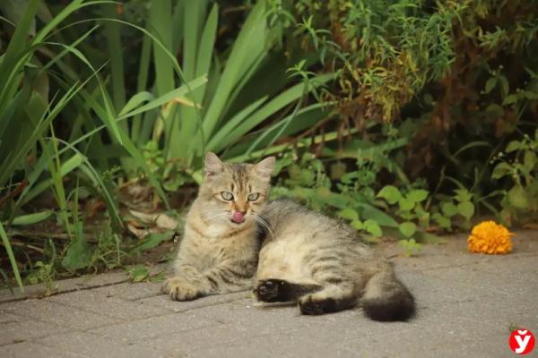 В три года весил 7 кг и спал в углу, как собака. Стали известны подробности о семье, в которой родители убили своего сына в Слуцке