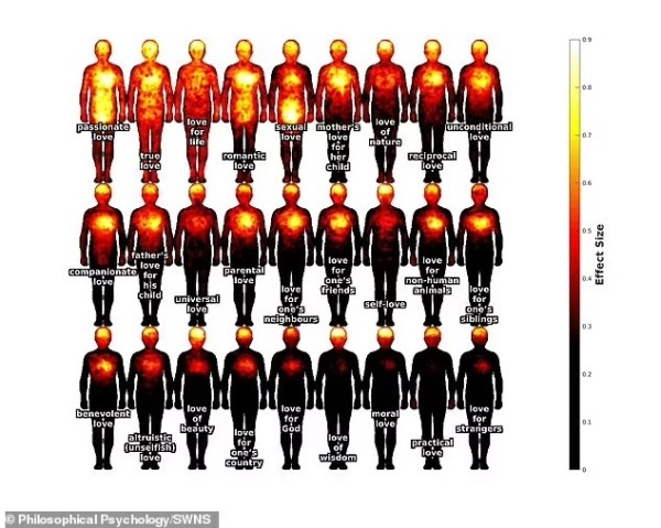 Где живёт любовь? Ученые составили «телесную карту» этого чувства
