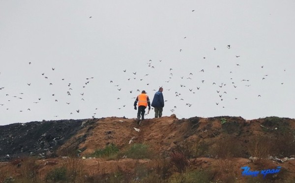 Большая стройка развернулась вблизи деревни Деревной Барановичского района