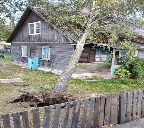 Смотрите, что натворила непогода на Брестчине