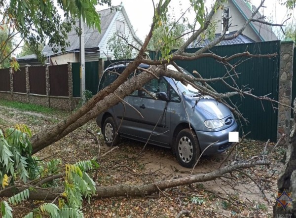 Смотрите, что натворила непогода на Брестчине