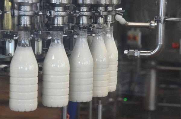 Молочное дело: задержан директор «Бабушкиной крынки» и еще 25 человек