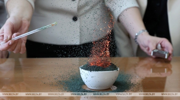 Победителями юбилейного конкурса профмастерства «Умельцы Брестчины» стали 28 человек