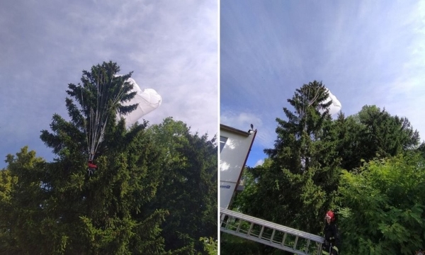 В Беларуси парашютистка застряла в ветвях высокой ели. Что было дальше