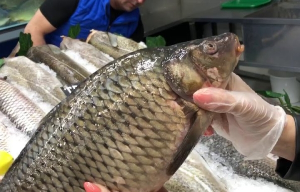 Какую живую рыбу белорусы покупают чаще всего