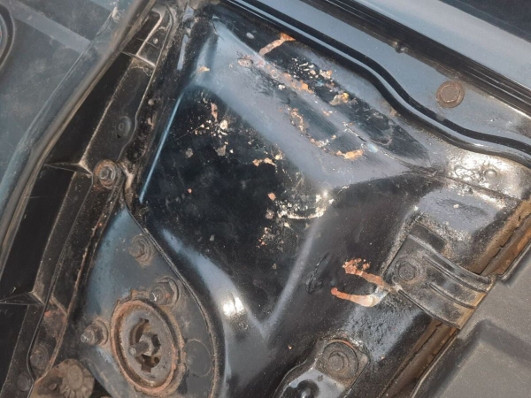 Белоруска купила Mazda по совету подборщика, а на СТО рассмеялись. Можно ли вернуть деньги? Белоруска купила Mazda по совету подборщика, а на СТО рассмеялись. Можно ли вернуть деньги?