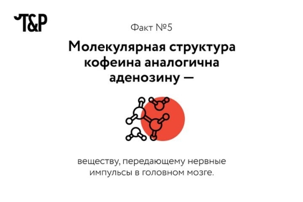 Разрешённый наркотик: несколько фактов о кофеине