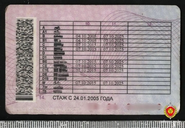 Белоруса лишили прав. Он нашёл выход: прикинулся россиянином и купил новое в/у