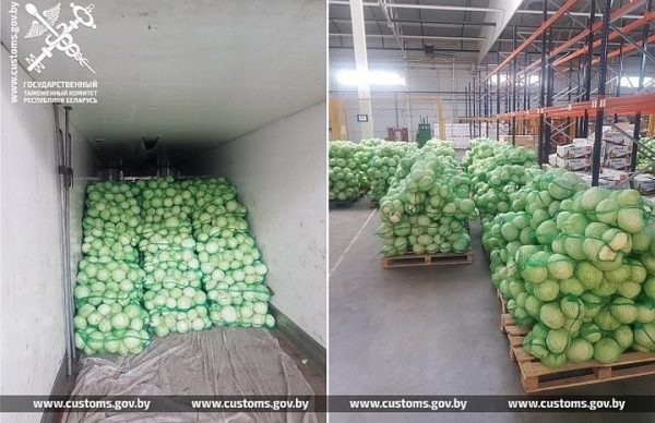 За неделю таможенники пресекли 5 попыток незаконно вывезти из Беларуси 95 т свежей капусты