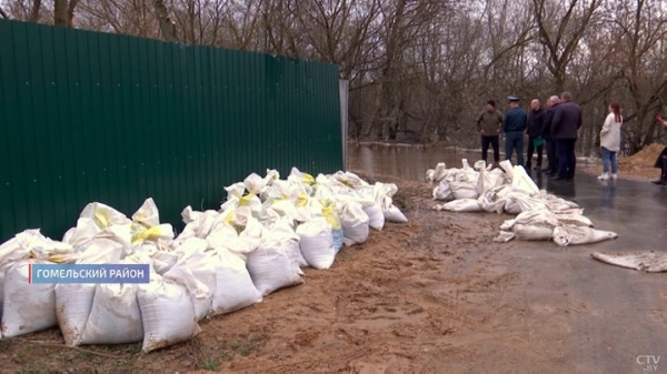 Семья из Гомеля теперь живёт на острове. Как белорусы справляются с крупнейшими паводками?