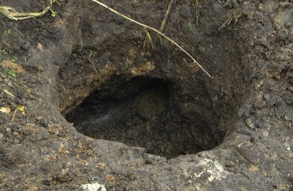 В Беларуси три грибника друг за другом провались в одну и ту же яму