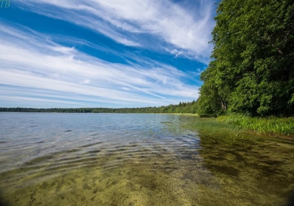 Топ-10 озер в Беларуси, на которых стоит побывать этим летом