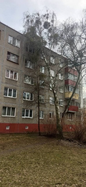 Информация о последствиях непогоды в Бресте Информация о последствиях непогоды в Бресте