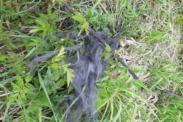 Один умер, двое ранены. Рыбаки массово открыли сезон электротравм Один умер, двое ранены. Рыбаки массово открыли сезон электротравм