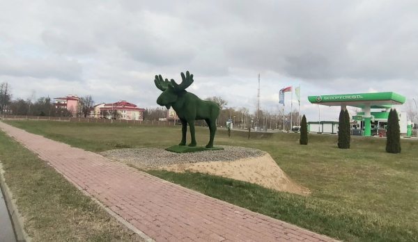 На въезде в агрогородок Каменюки появилась топиарная фигура лося из искусственной травы