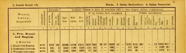 100 лет назад в малоэтажном Бресте в каждом доме жило в среднем 16 человек 100 лет назад в малоэтажном Бресте в каждом доме жило в среднем 16 человек