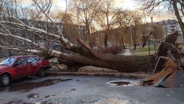 Информация о последствиях непогоды в Бресте Информация о последствиях непогоды в Бресте