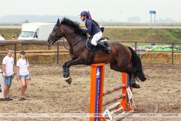 От конефермы к конному парку: в глубинке Полесья восстанавливают национальные породы лошадей