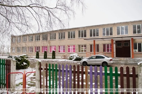 Травка с прилавка: Как выращивают микрозелень в Брестской области