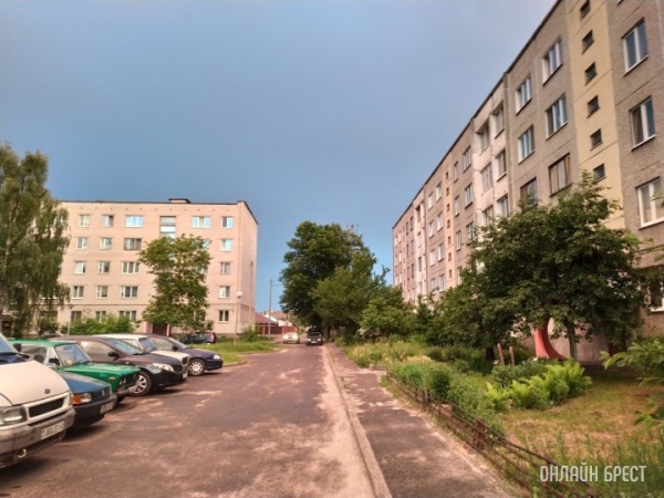 В Бресте и области на 4 ноября объявлен оранжевый уровень из-за сильного ветра