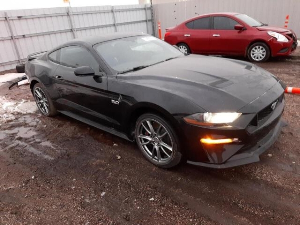 Белорус: «Оформил Mustang на вешалку-льготницу, а она забрала машину себе». Сама же девушка считает иначе